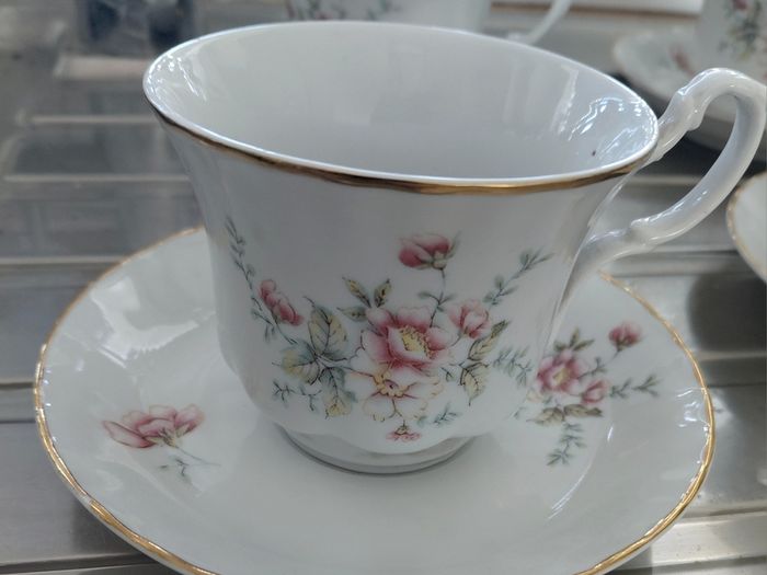 Aloe vera plants wirh Arpo fine China cups and saucers.