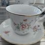 Aloe vera plants wirh Arpo fine China cups and saucers. Image 3