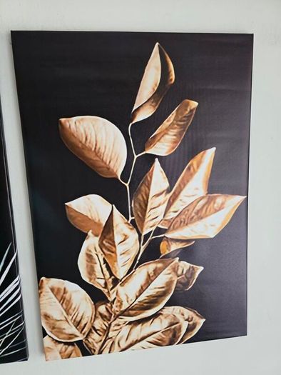 3 framed printed canvas 45x65cm