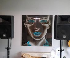 Ev Sx300 Speakers
