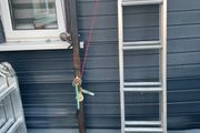 ladder