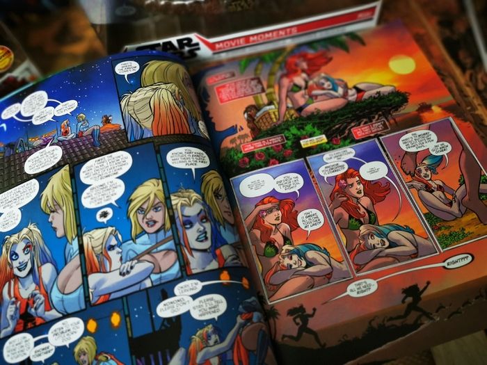 Harley Quinn & the Birds of Prey ! Book 1 ! by Amanda Conner and Jimmy Palmiotti ! Grpahic Novel ! 2020 ! by DC Comics !