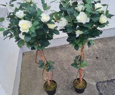 Wedding Flowers