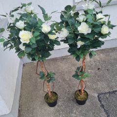 Wedding Flowers