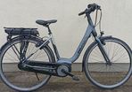 Bosch Koga Japanese Bike Electric