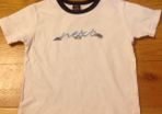 NEXT Teeshirt Age 3-4