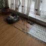 Puppy playpen Image 3