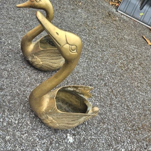 Brass Swans