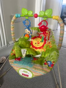 Baby bouncer