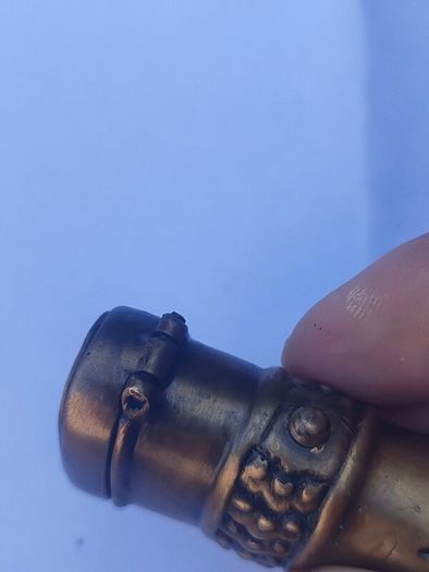 Large Brass Dog Vesta case