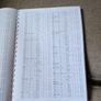 Horse racing form Image 7