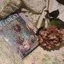 Vintage Country Diary Dorma Bedlinen & Curtains Image 8
