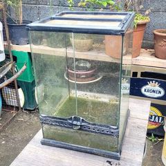terrarium