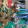 Age of Sigmar Sylvaneth Army Image 5