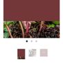 Colourtrend paint Image 2