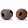 Whole Coconut - Terrario CocoCave Image 5