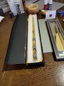 Harry Potter wand