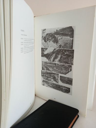 Phylogeny of the Orthopteroidea by A. G. Sharov. Translated from Russian (RB400)