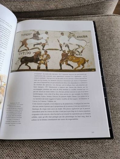 La Mosaique en Tunisie the mosaics of Tunisia large coffee table book in very good condition with no issues 270 pages with lots of pictures etc see photos FREE STANDARD POSTAGE INCLUDED