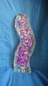 Orchid decor