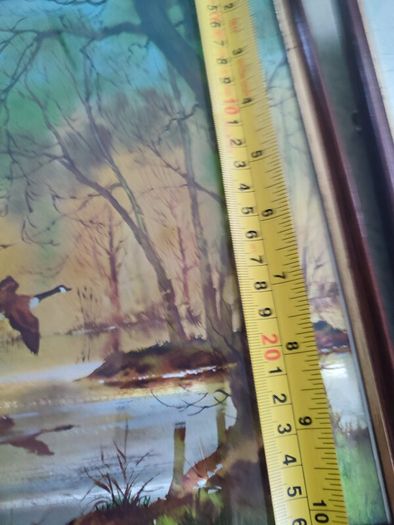 FRAMED A foil Print Pictures Ducks Woodlands Pond