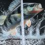 3D perch mat Image 3