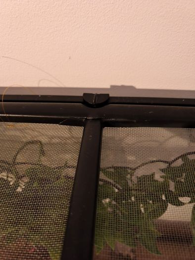 terarium