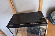 Small Reptile Tank