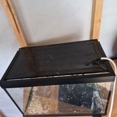Small Reptile Tank
