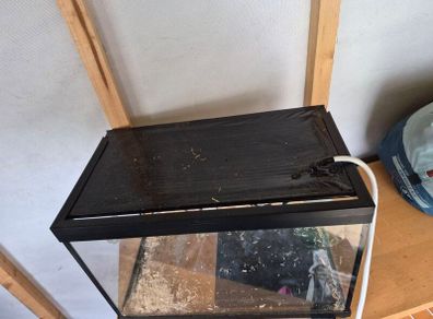 Small Reptile Tank