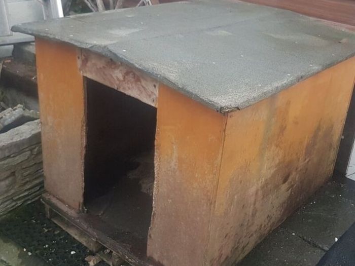 Dog Kennel