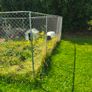 Dog Pen Cage 6 x 3 x 2 meter Image 2