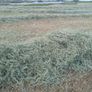 Hay Bales Image 3