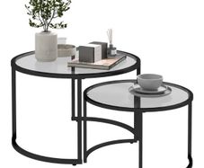 2-Piece Nesting Glass Coffee Table Set