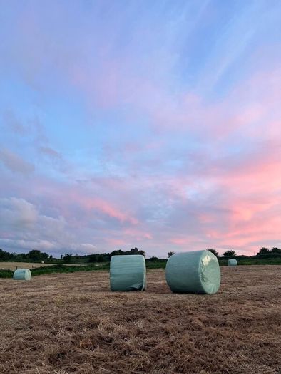 42 Bales of Haylage, Not chopped, good for horses
