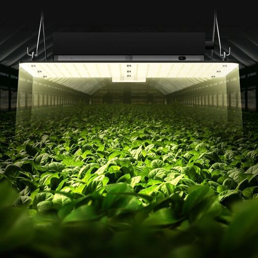 LED Grow Light 50W Full Spectrum Dimmable, High Yield Samsung 2B1B Diodes Growing Lamp for Indoor Plants Seedling Veg and Bloom Greenhouse Growing
