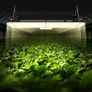 LED Grow Light 50W Full Spectrum Dimmable, High Yield Samsung 2B1B Diodes Growing Lamp for Indoor Plants Seedling Veg and Bloom Greenhouse Growing Image 7