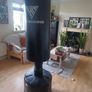 Boxing Image 2