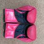 Boxing Gloves - Everlast  14 OZ Adult Image 2