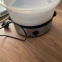 food steamer