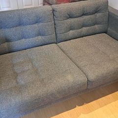 Ikea 2 Seater Couch