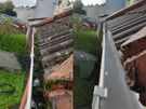 Gutter cleaning Power washing, Windows cleaning,  Ozone treatment Image 7