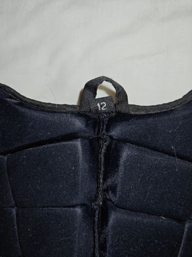 Equestrian back protector