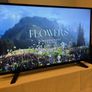 43 Inch Smart TV Image 5