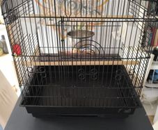 Bird cage