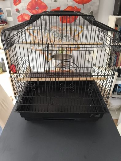 Bird cage