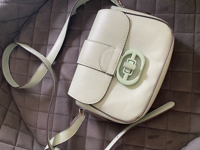Mango small bag