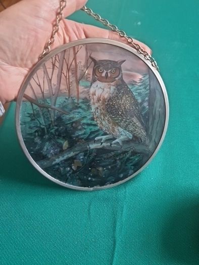 owl