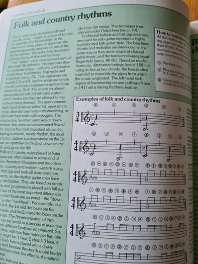 The Guitar Handbook By Ralph Drnyrr. Large Vole Book Of 251 Pages For Amature & Professional.