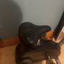 Excersise Image 4